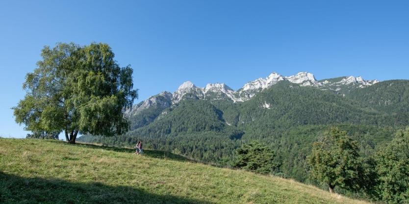 Casa Vacanza Da Nonna Elena Vattaro Exterior foto